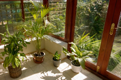 Chute Forest orangery costs
